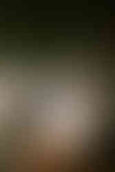 wedding couple Horwood house portraits