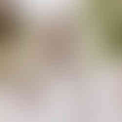 Bumble Bee at the old mill aldermaston