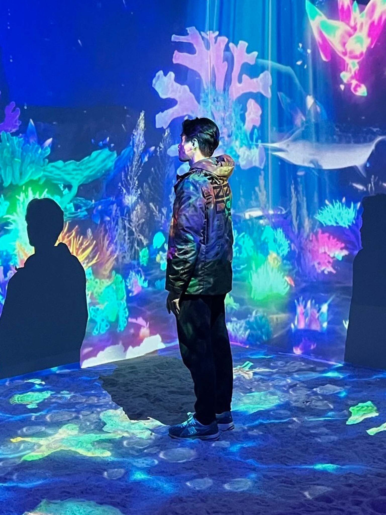 Pengunjung dimanjakan dengan atraksi visual yang memukau