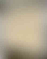 Replica brenner i Brüssel, kaffebrennere fra Stronghold