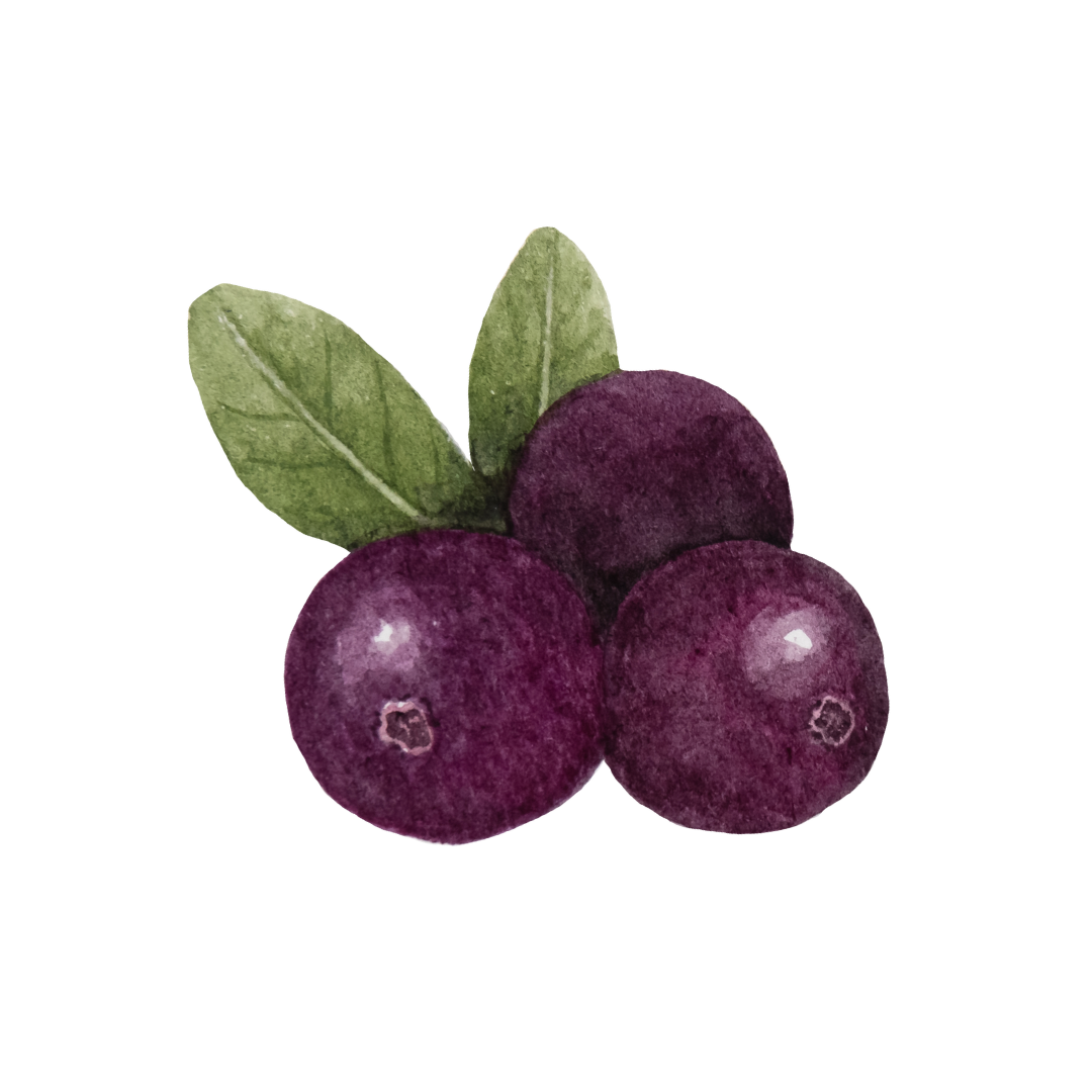 Acai Fruit Extract & Goji Berry Extract