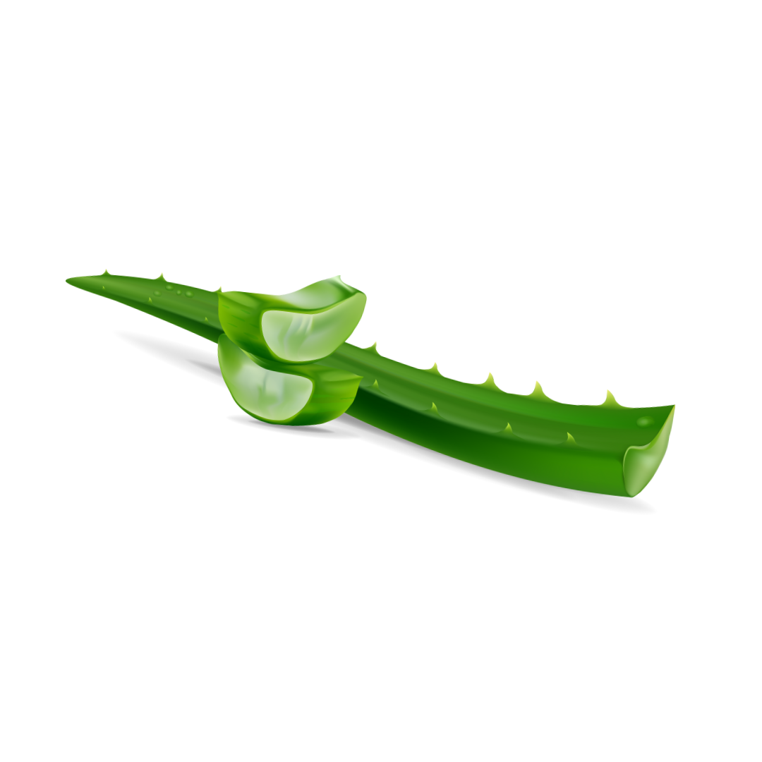 Cucumis Sativus (Cucumber) Extract & Aloe Barbadensis (Aloe Vera) Leaf Juice