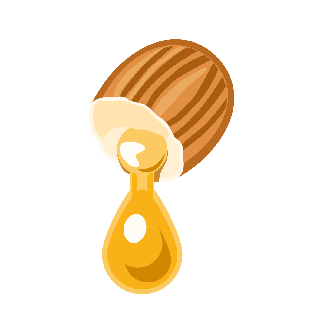 Vitus Vinifera (Grape) Seed Oil & Prunus Amygdalus Dulcis (Almond) Oil