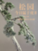 阳江组