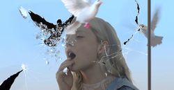 破障飞翔(静帧)