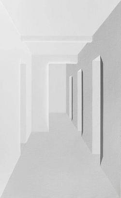In Ambiguous Sight