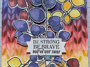 Shelby AECP Class 53 Celebration Level 1