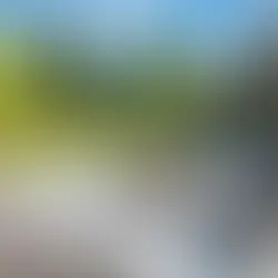 Why Concrete Cleaning and Sealing Protects Driveways and Patios in Yakima Valley