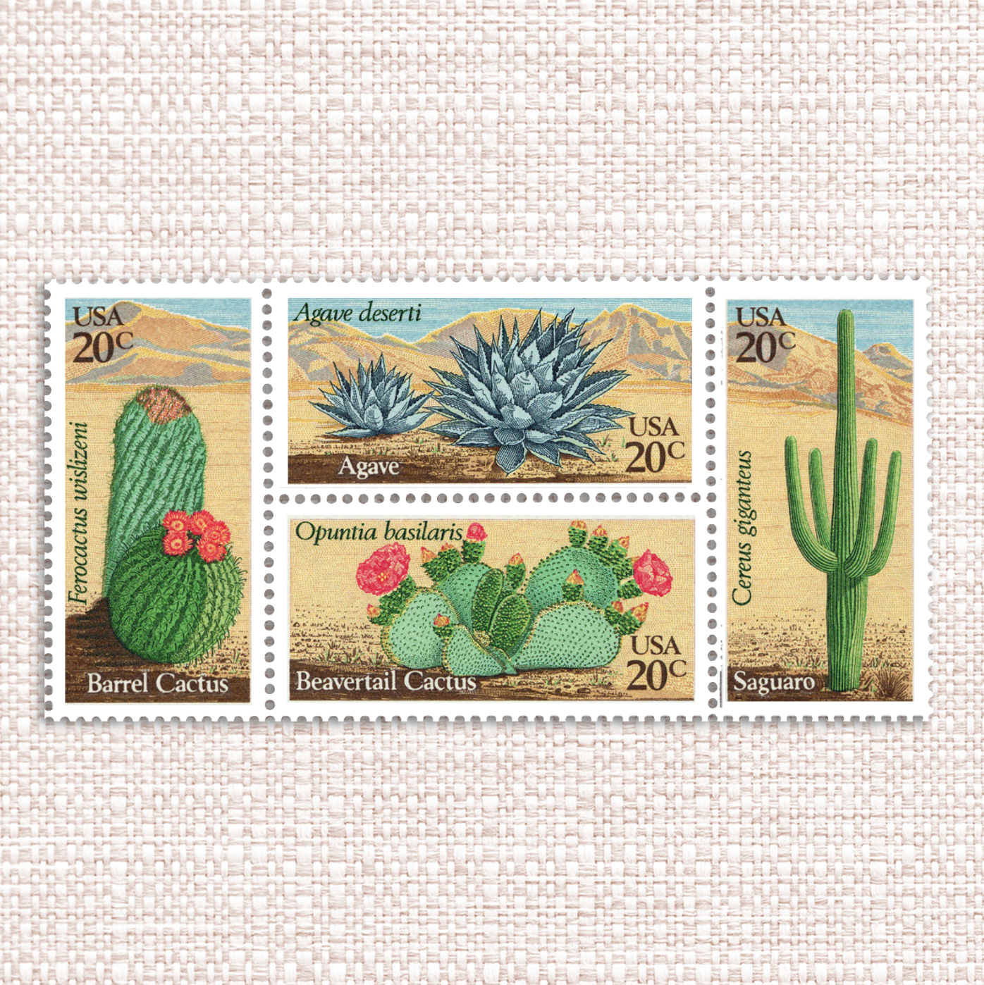 20¢ Desert Plants - Pack of 25 unused stamps from 1981