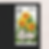 Thumbnail: 29¢ Spring Garden Flowers - Pack of 25 unused stamps from 1993