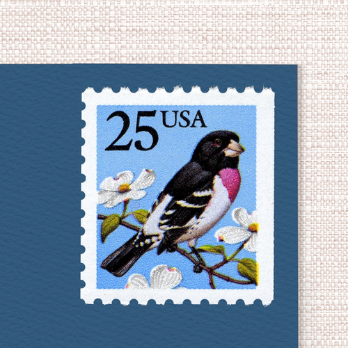 Are All Vision Test Boards The Same Are All Vision Test Boards The Same