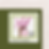 Thumbnail: 20¢ Orchids - Pack of 25 unused stamps from 1984