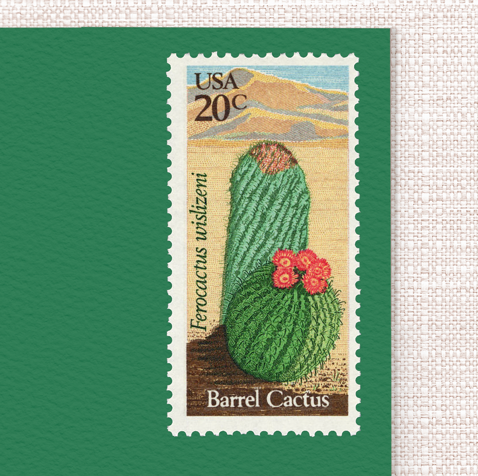 Buy Unused vintage Desert Plants postage stamps from 1981 in USA