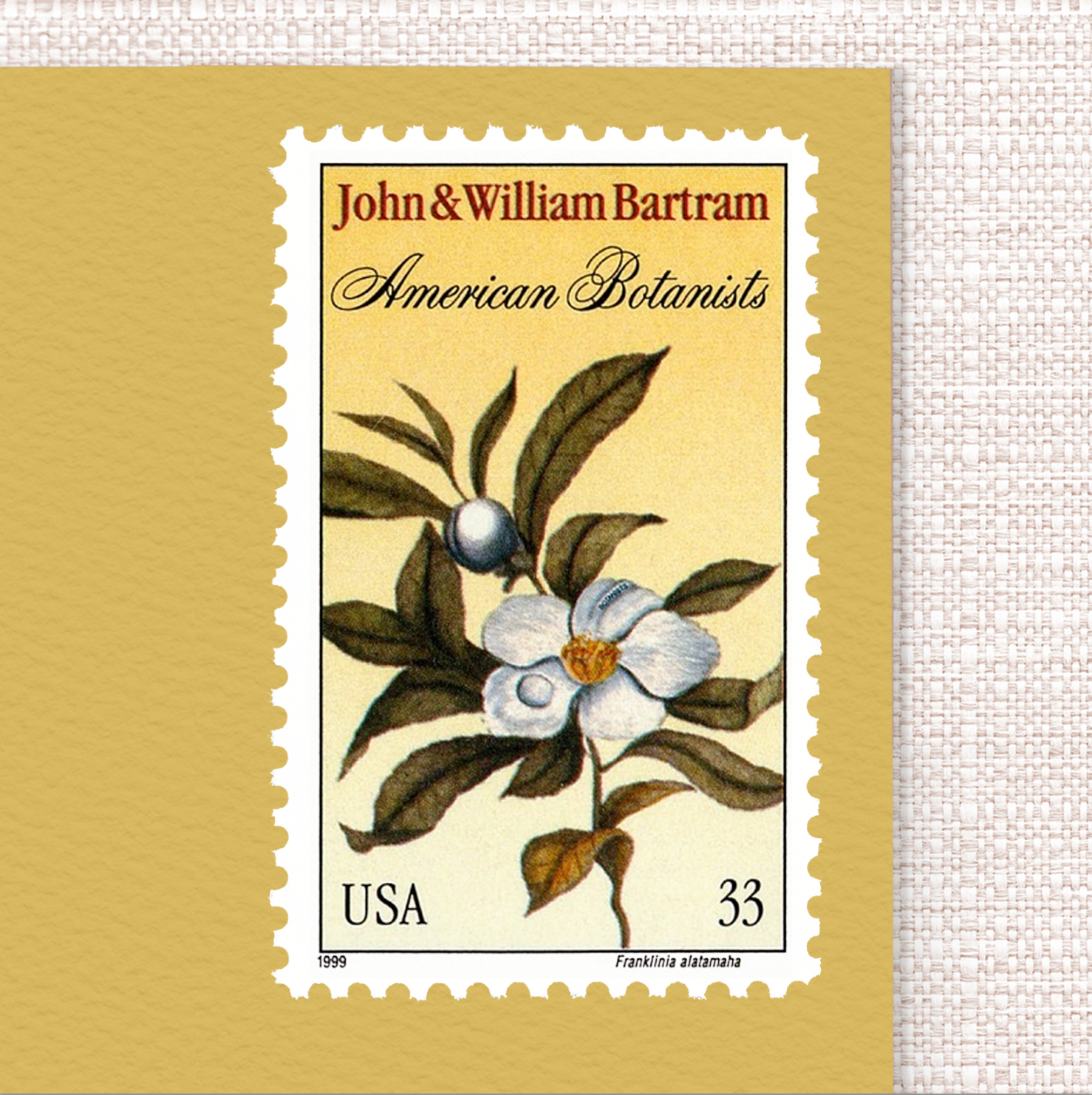 33¢ John & William Bartram - Pack of 25 unused stamps from 1999
