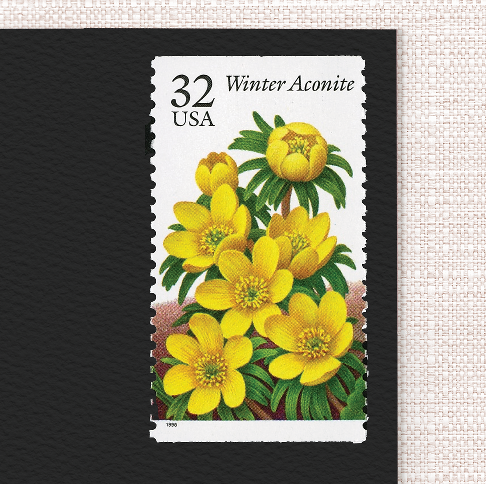 32¢ Winter Garden Flowers - Pack of 25 unused stamps from 1996