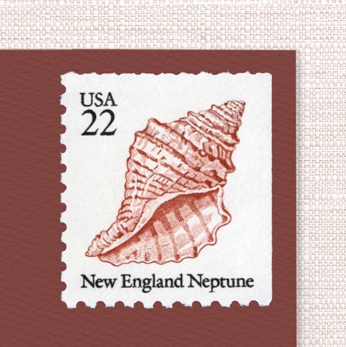 22¢ Seashells - Pack of 25 unused stamps from 1985