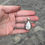 Thumbnail: Tear Drop Shaped Wild Horse Necklace