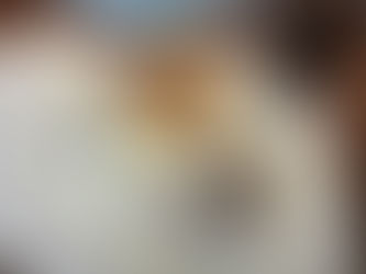 冬を迎える前に・・・