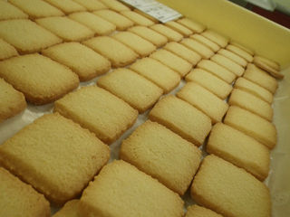 ラインテスト開始