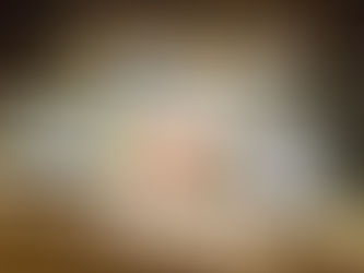 マカロンの「力」