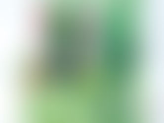「マイベスト」月間アワード2026年7月度にて、井桁堂の商品がランクイン!
