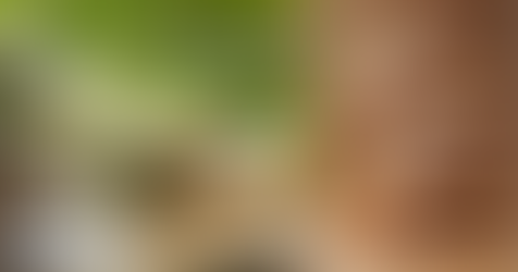 【プレスリリース】ジェイアール名古屋タカシマヤ「銘菓百選ウィークリーコーナー」にて期間限定出店