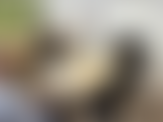 井桁堂グループ 内定者ミニ研修を実施しました!