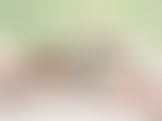 【新卒採用】3月開催・会社説明会の日程を公開しました