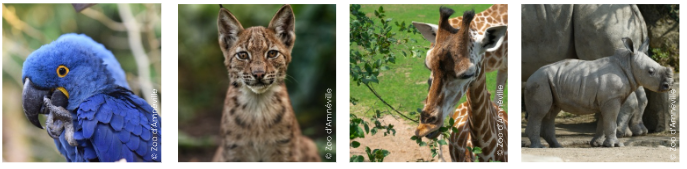 Zoo Amneville