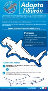Affiche - Adopta un Tiburon