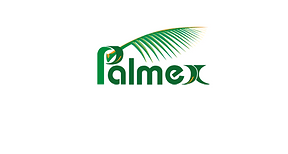 PALMEX