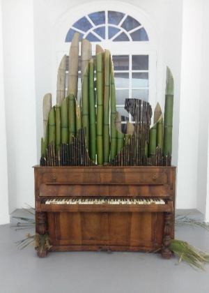 orgue de bambou