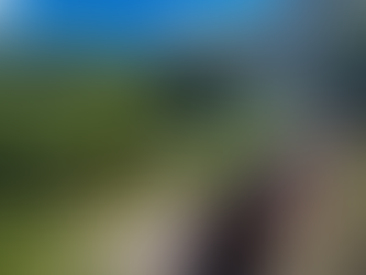 Train à Vapeur des Cévennes