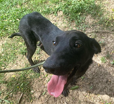 WhatsApp Image 2025-12-17 at 11.01.00 (1).jpeg