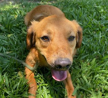 WhatsApp Image 2025-12-17 at 11.00.49 (2).jpeg