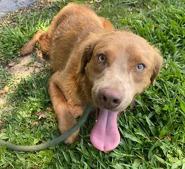 WhatsApp Image 2025-12-17 at 11.00.50 (1).jpeg