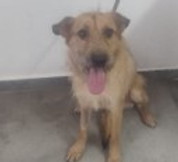 2 - MELISSA - CECCATO.jpg