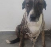 3 - ESTELA CECCATO.jpg