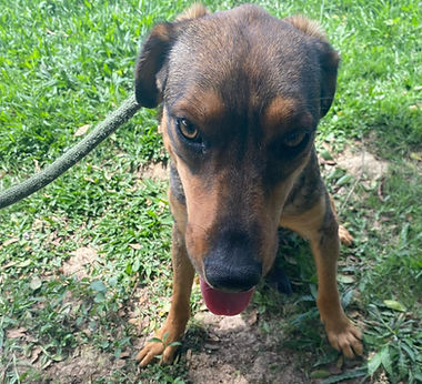 WhatsApp Image 2025-12-17 at 11.00.55 (1).jpeg