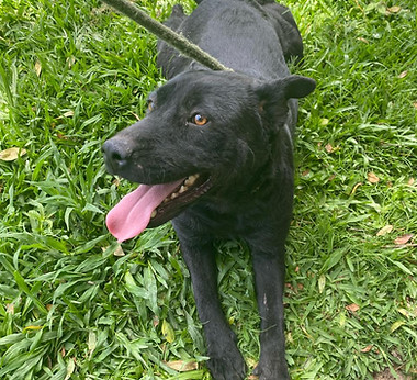 WhatsApp Image 2025-12-17 at 11.00.52.jpeg