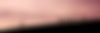 Banner-Managment.jpg