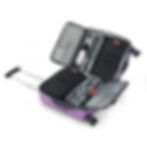 8-Bottle Wine Carrying Suitcase (Purple)