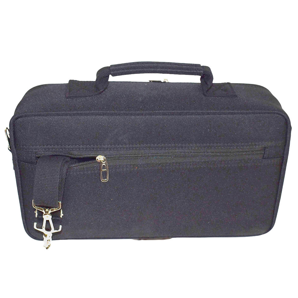 Thumbnail: Luxury 2-Bottle Wine Carrying Bag for 750 ml Wine Bottle (Black)