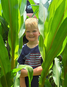 image1(11).jpeg