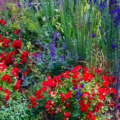 Unknown-23 copy.jpeg