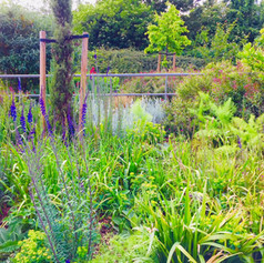 Unknown-8 copy 2.jpeg