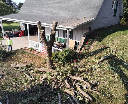 Tri-State Tree Service crew safely removing a tree near a house in Warsaw, IL