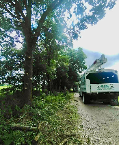 Tri-State Tree Service trimming trees and clearing a fence line in LaBelle, MO