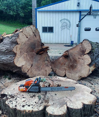 Large tree stump after tree removal by Tri-State Tree Service