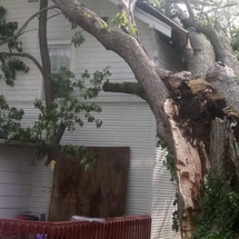 Severe strom damage photo of a tree that landed on a house in Palmyra, MO